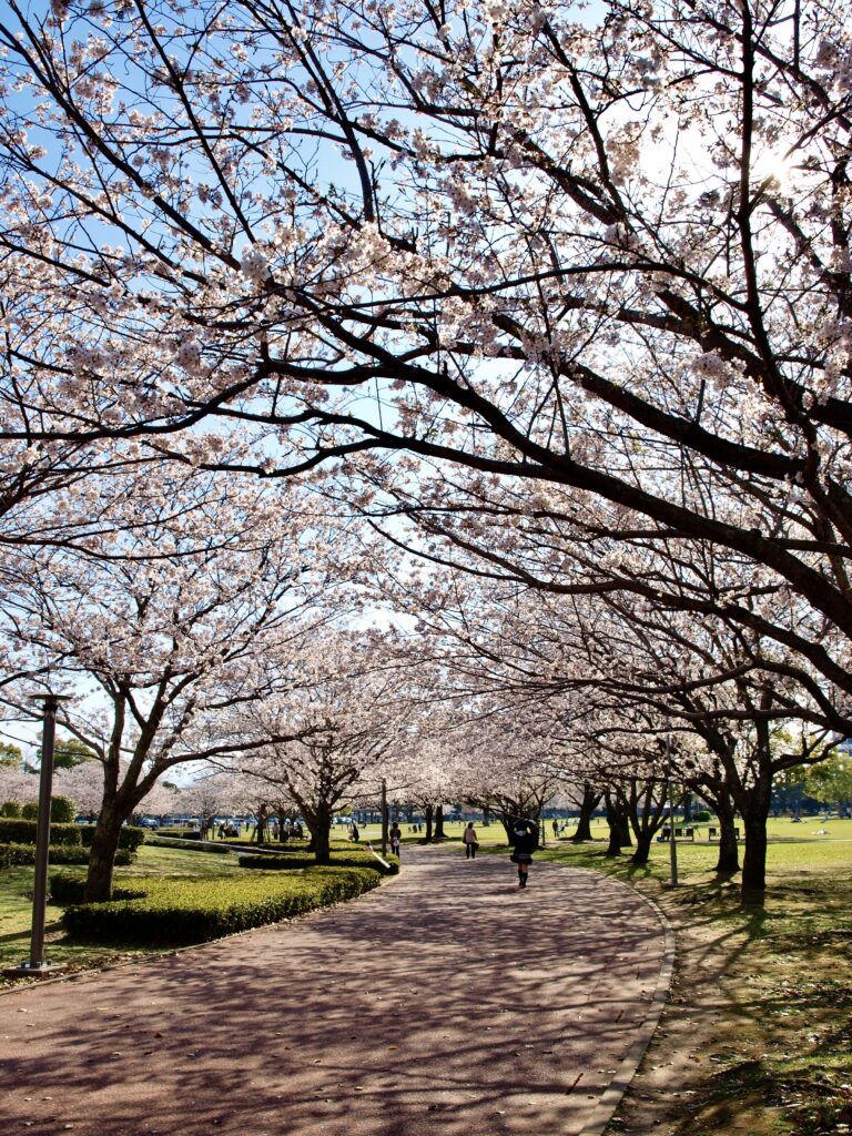 宮崎県総合文化公園