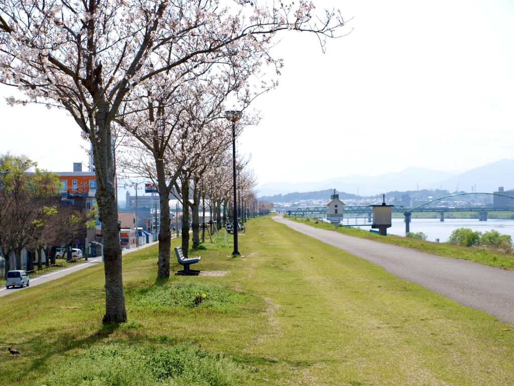 大淀川河川敷