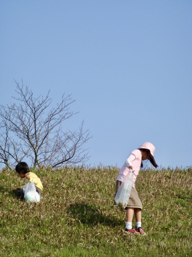 土筆とり