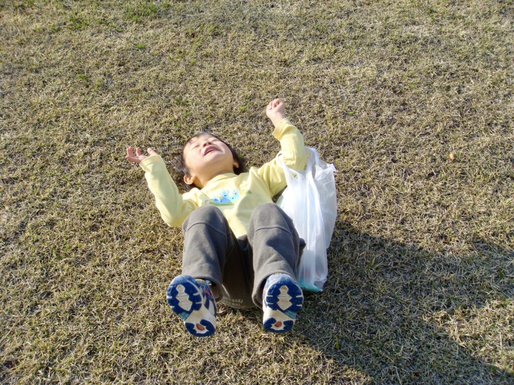 土筆とり