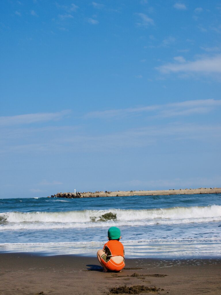 海