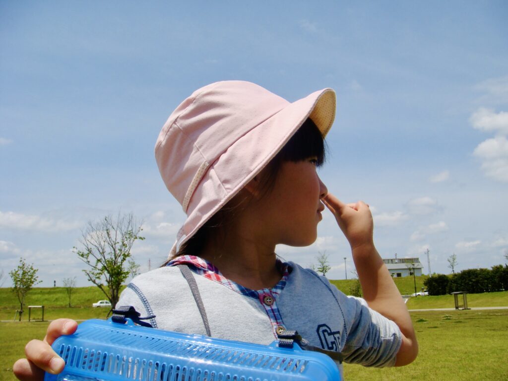 チョウチョを捕まえに行きました