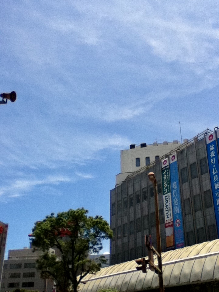 宮崎市街地