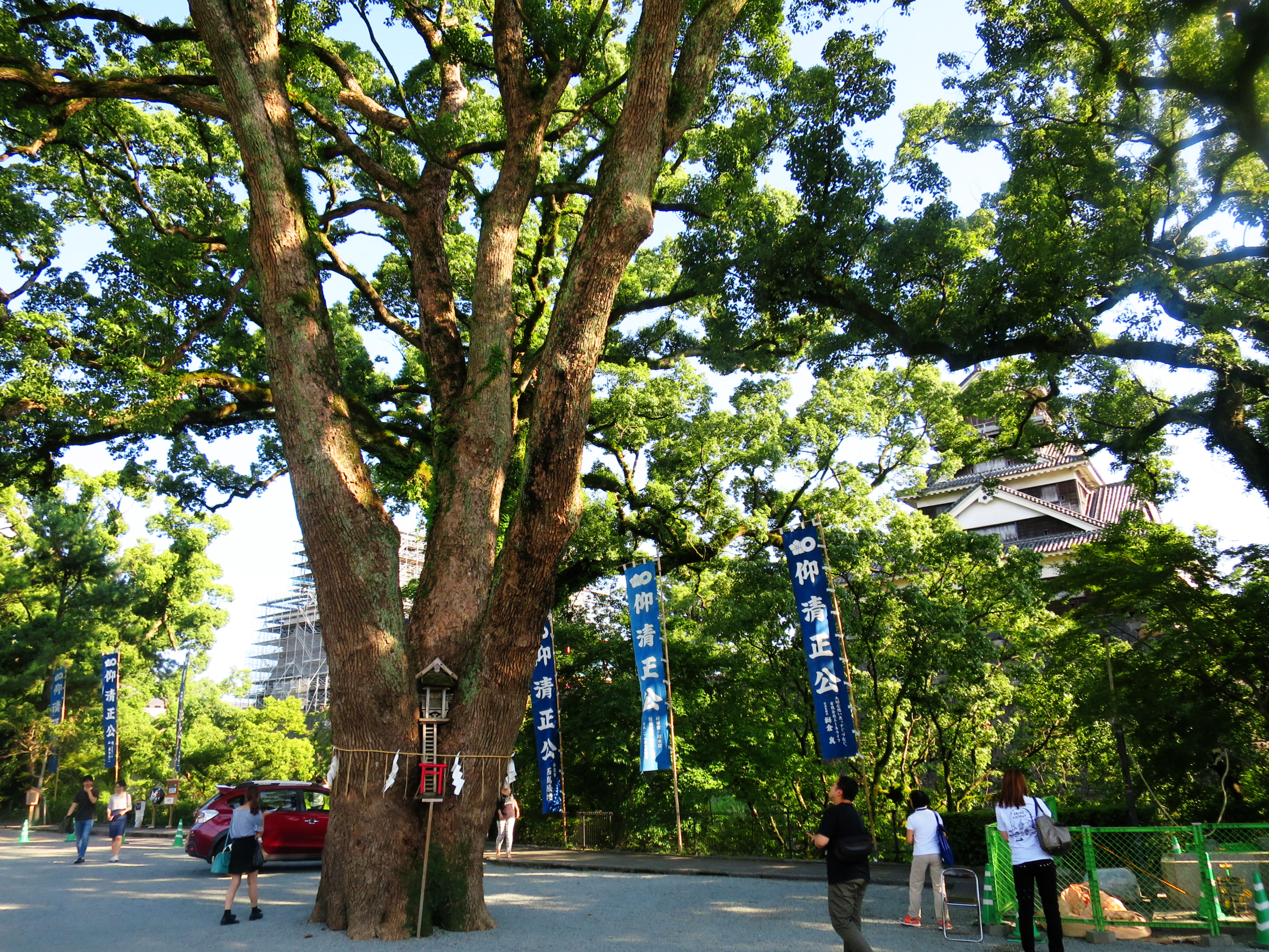 加藤神社 熊本