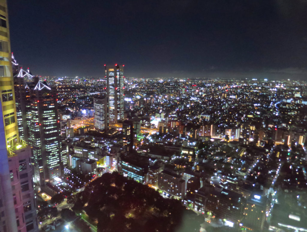 東京都庁 展望台 展望室　夜景