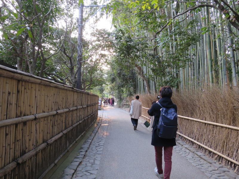 竹林の小路