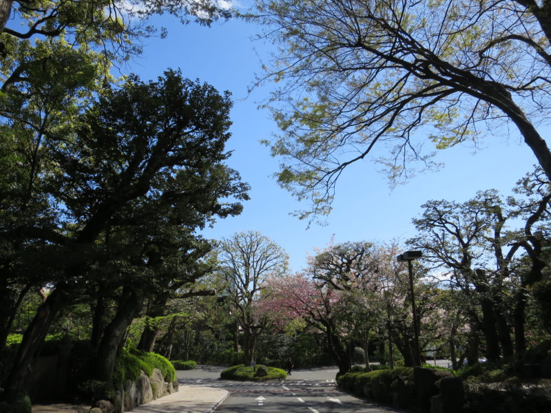 白金 八芳園 個人コンサル