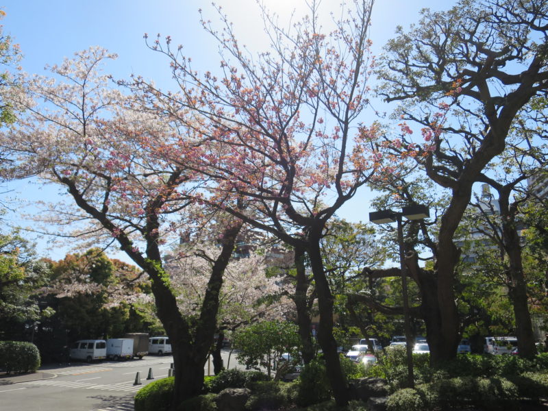 白金 八芳園 個人コンサル