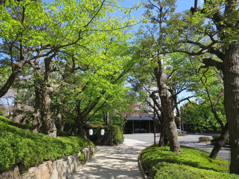 白金 八芳園 個人コンサル