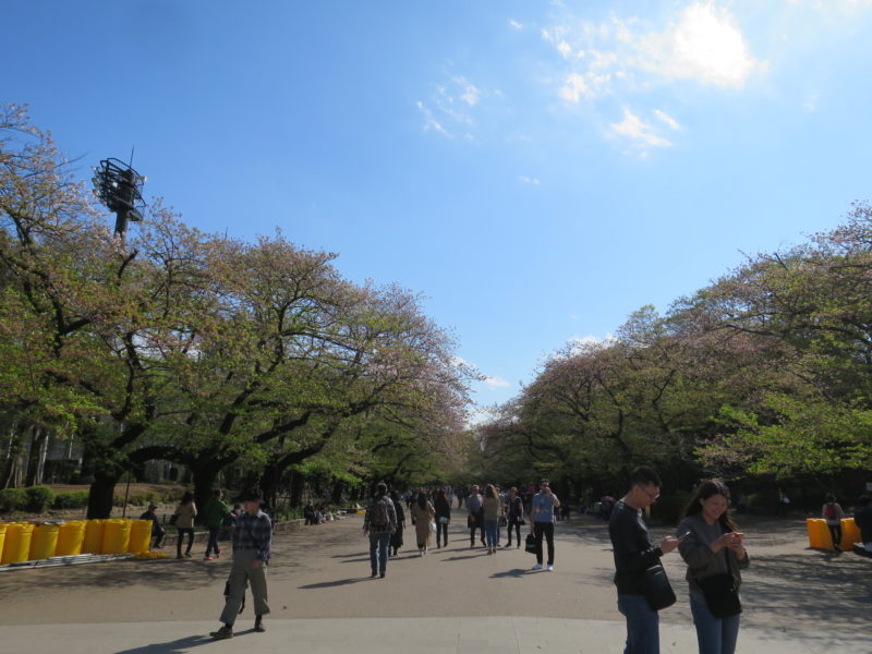 上野公園 散歩