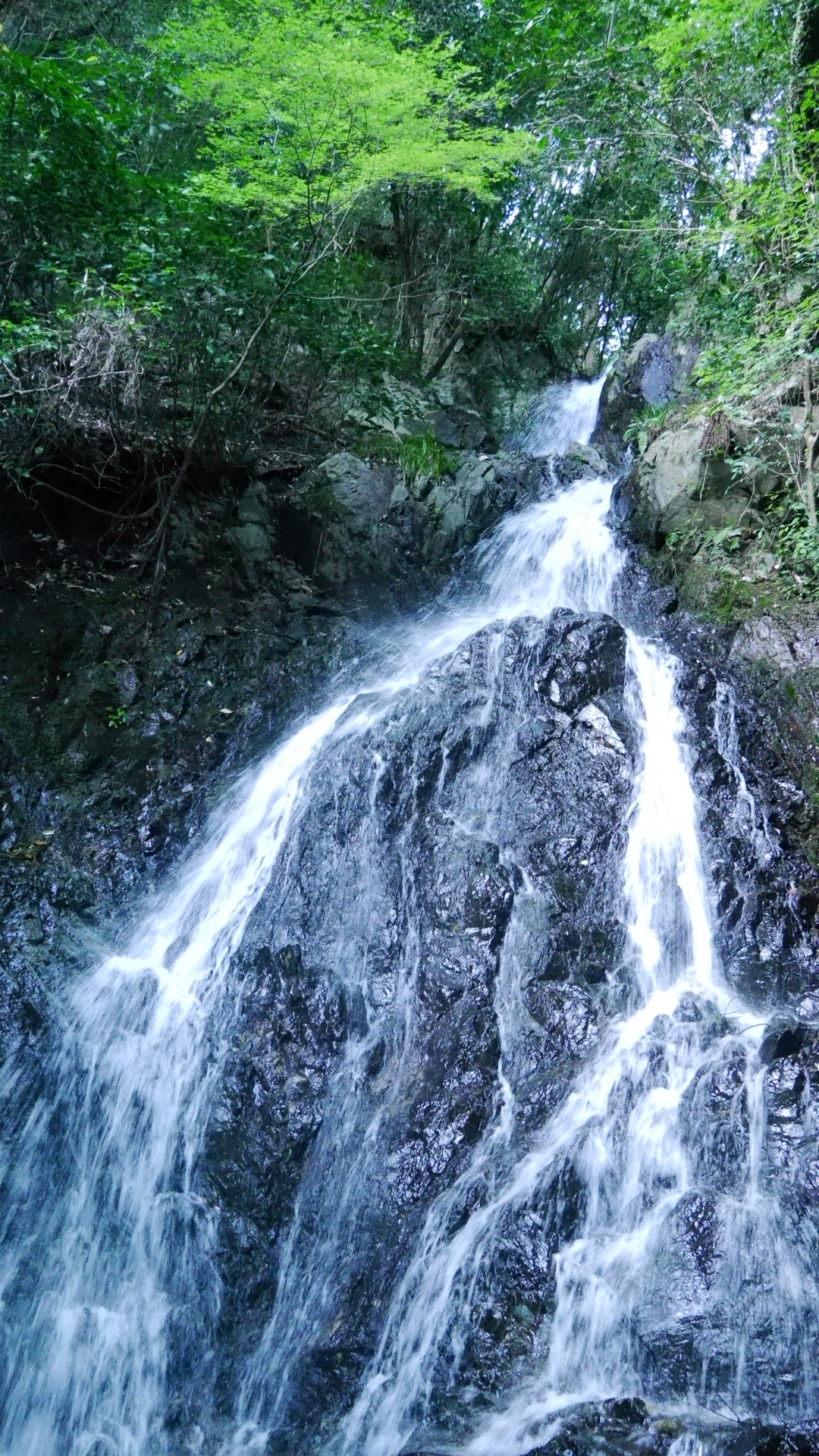 調音の滝でマイナスイオンを感じるうきは市（福岡） 関達也 オフィシャルブログ