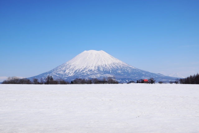 日本全体で同じことが起きている？