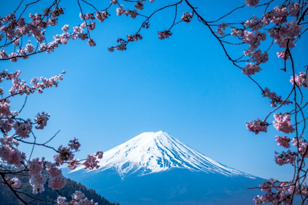 日本の未来を守るために、今できること