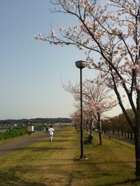 photo:01
