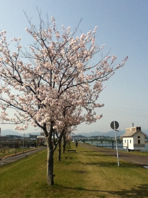 photo:02