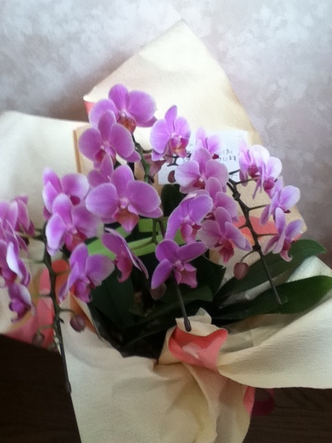 photo:03